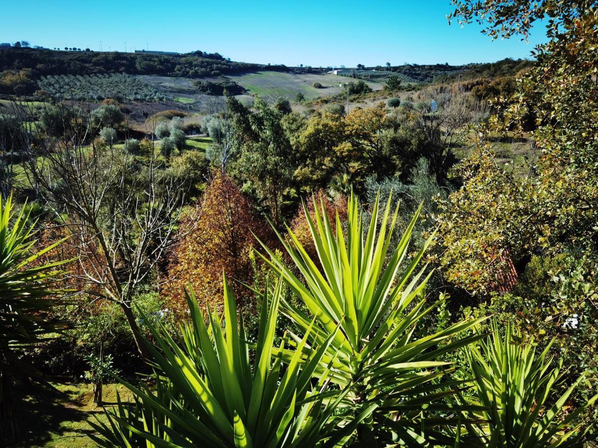 Quinta Do Vale Encantado "The Valley" - Santarem - Portugal Calhariz Exterior foto