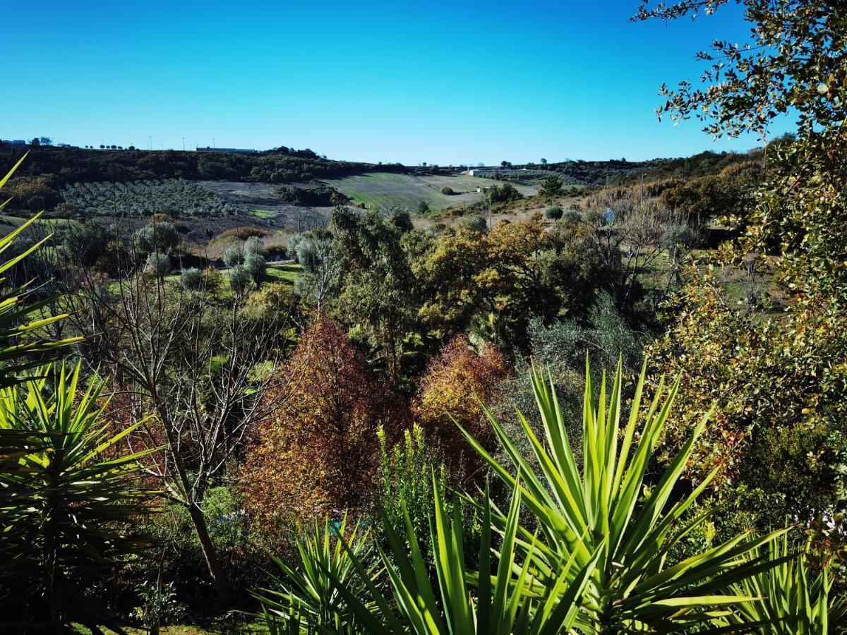 Quinta Do Vale Encantado "The Valley" - Santarem - Portugal Calhariz Exterior foto